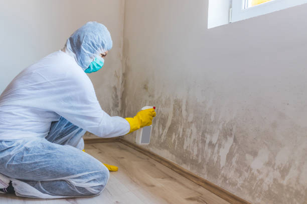 Licensed Basement Mold Remediation service in New Hope, MN - WQB Mold Removal