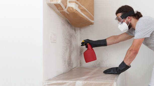 Professional Basement Mold Remediation technician working in New Hope, MN