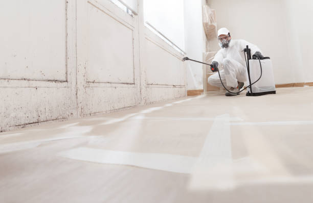 24/7 Emergency Basement Mold Remediation experts in New Hope, MN
